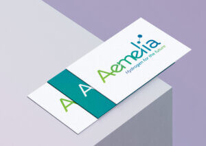 simulation logo Aemélia