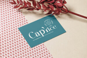 Simulation carte de visite Caprice institut à Loudun